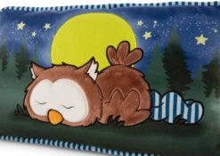 Nici 47879 Kissen Eule Oscar Schlafend Glow In The Dark 43x25cm Plüsch Owlsons -Spielzeugladen 47879 04 ZA Frei 2048x1451