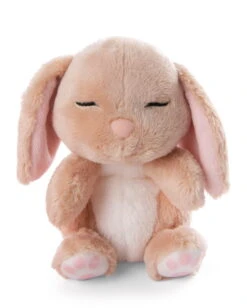 Nici 48708 Sleeping Pets Bunnies Hase Karamell 12cm Schlafend Im Körbchen Peach -Spielzeugladen 48708 05 ZA Frei 1640x2048